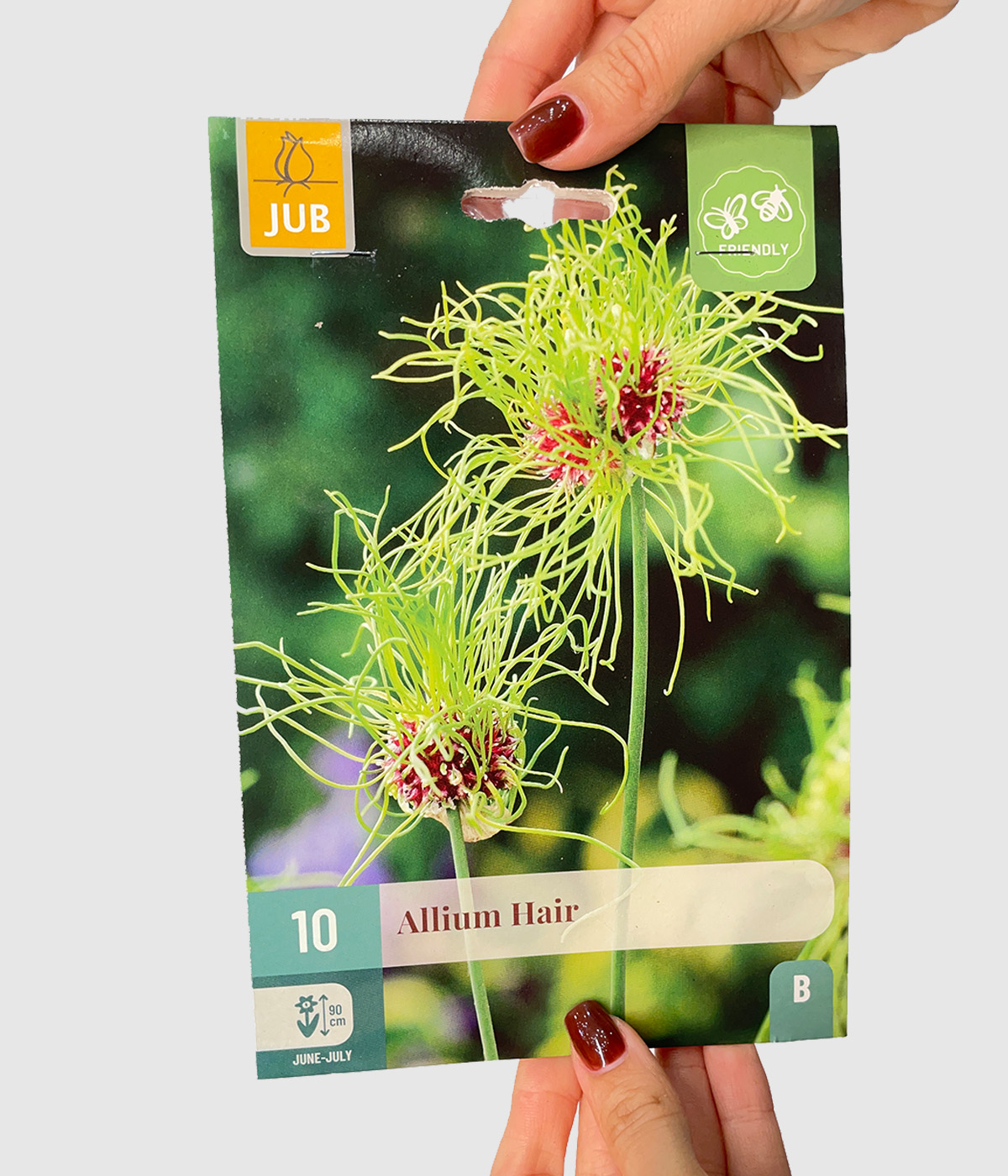 Allium hair