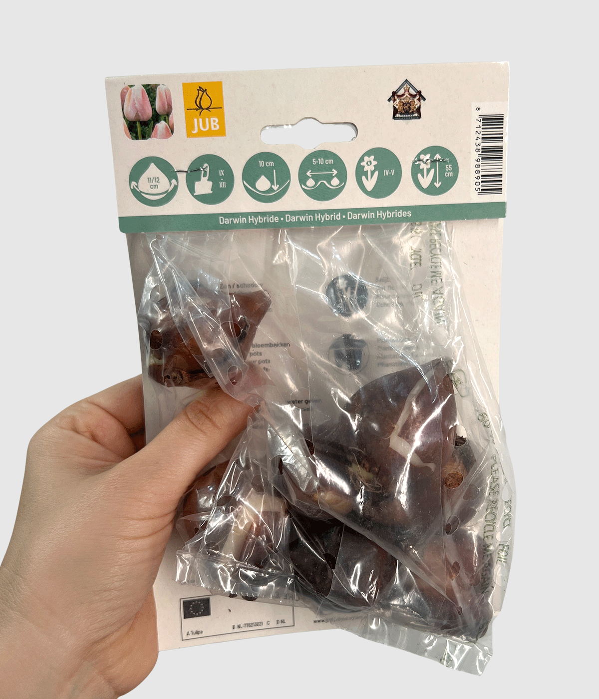 Apricot pride