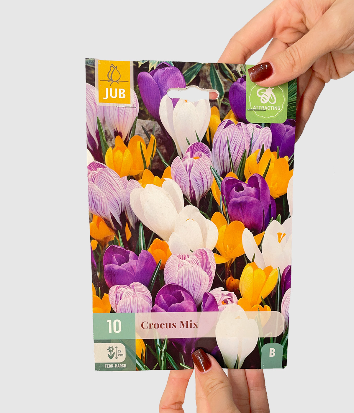 Crocus mix