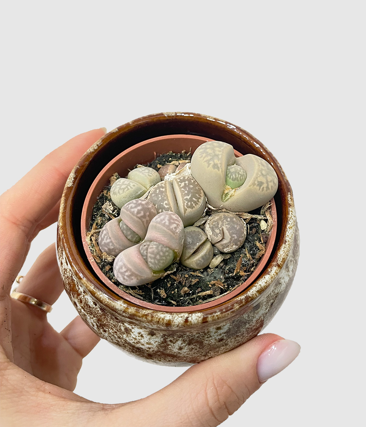 Lithops3