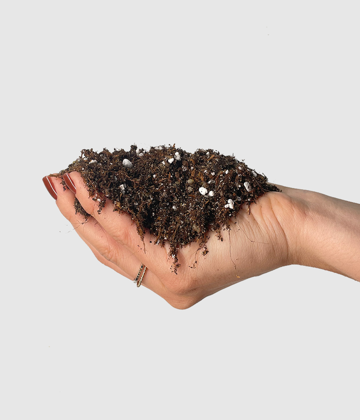 Mesanica zemlje bulb