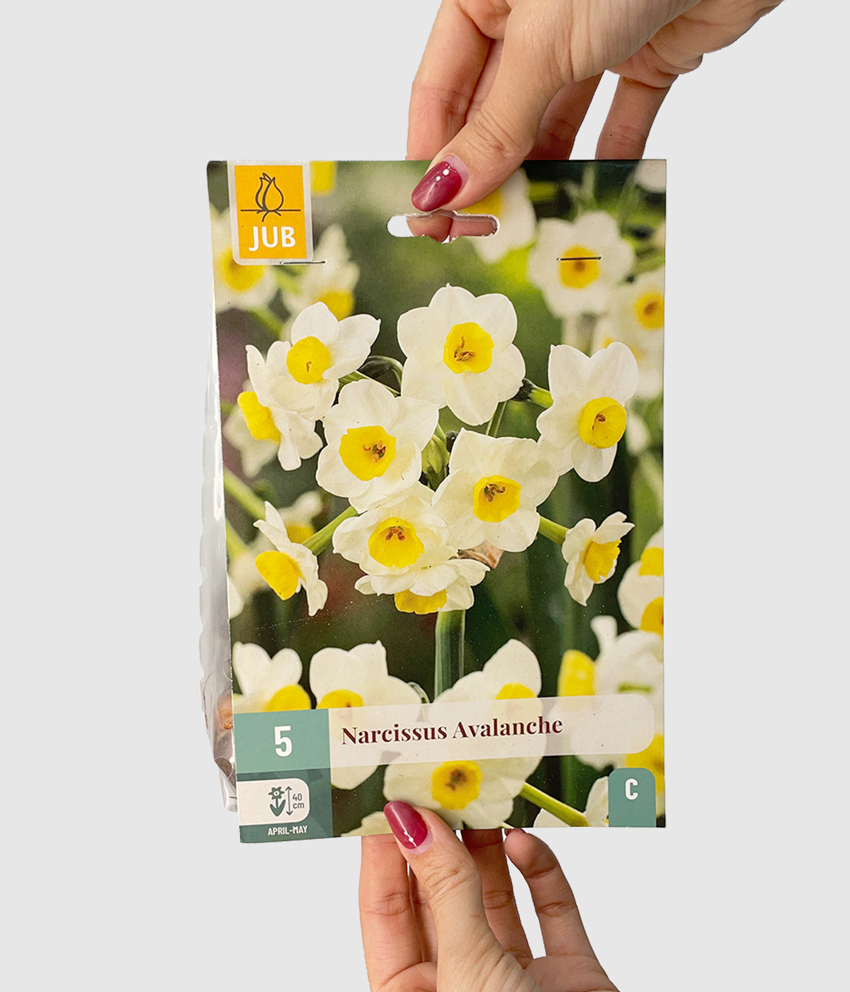 Narcissus avalanche