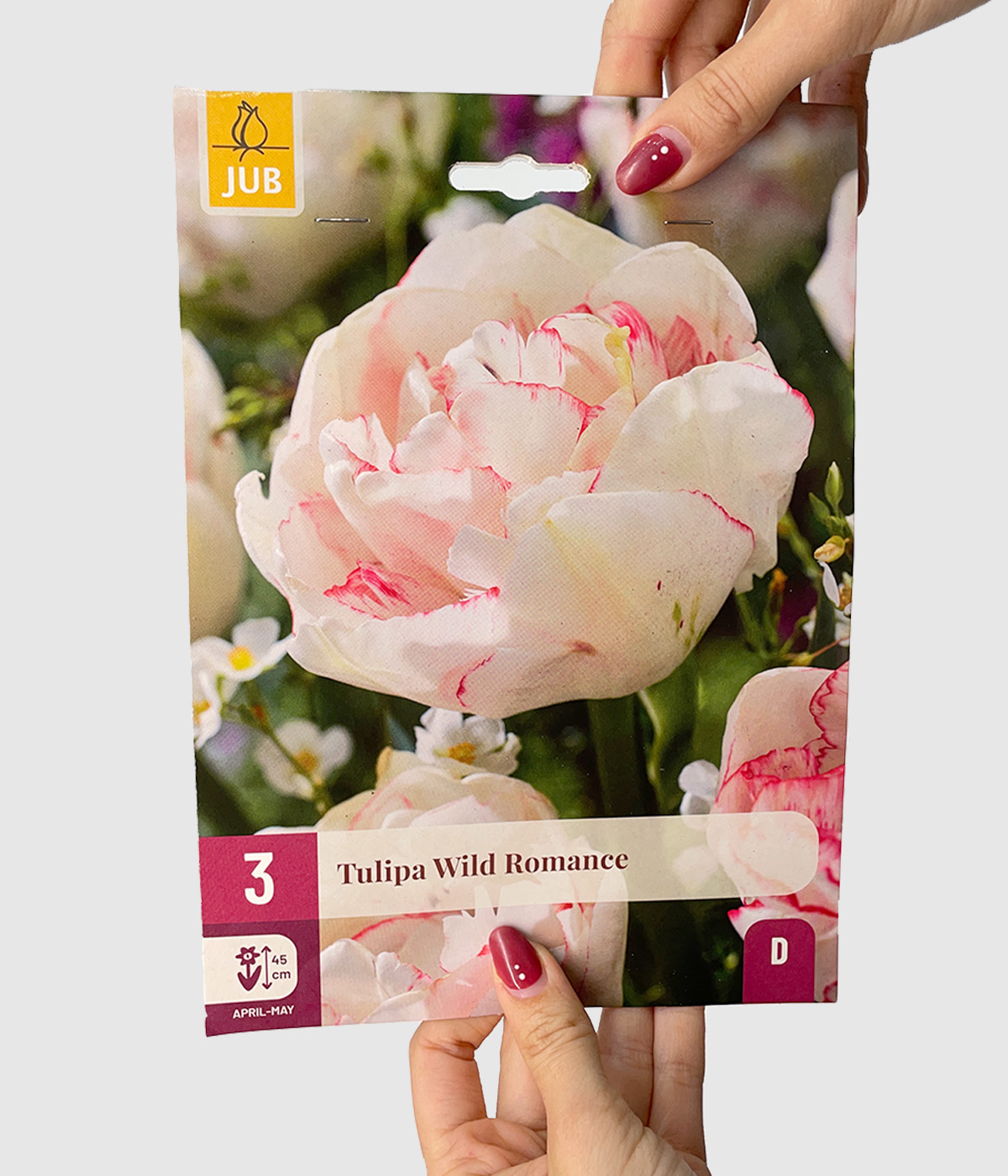 Tulipa wild romance